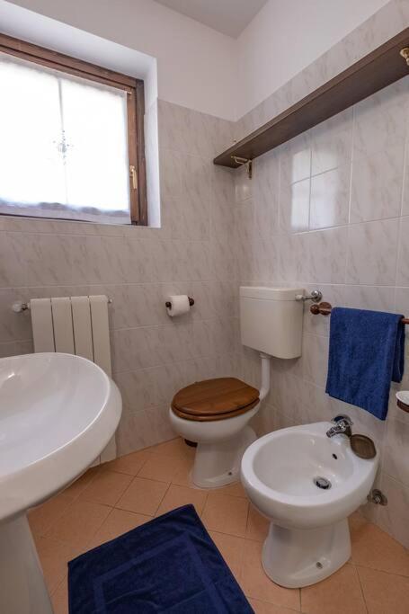 Happy Guest Apartments - Alpin Vista コーレレ エクステリア 写真